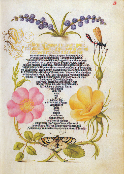 Mira Calligraphiae Monumenta Folio 15