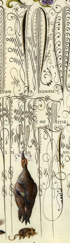 Calligraphic Specimen Book Folio 94 - Detail 2
