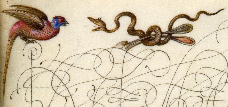 Calligraphic Specimen Book Folio 24 - Detail 2