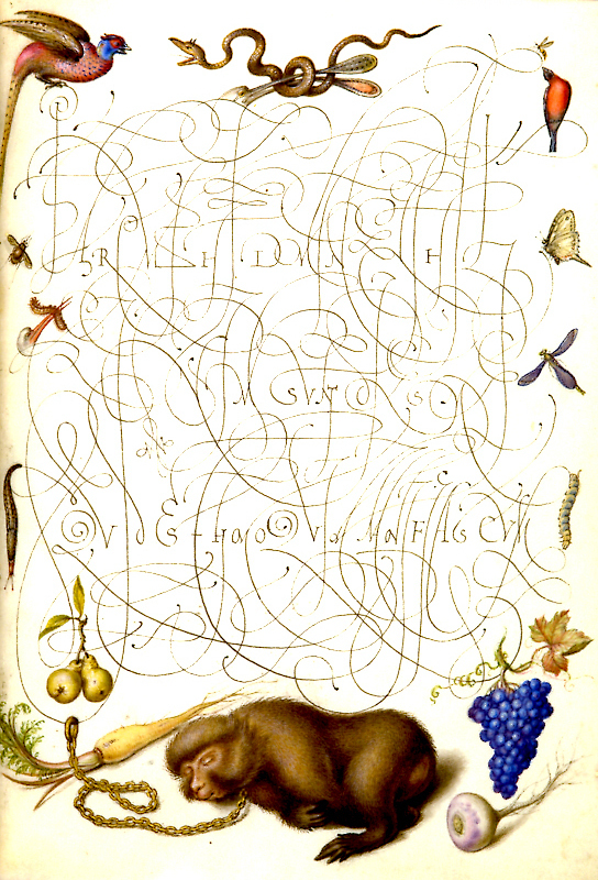 Calligraphic Specimen Book Folio 24