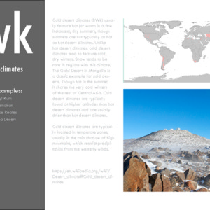 BWK_Case Studies.pdf