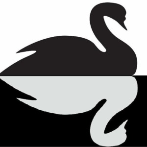 BlackSwan.png