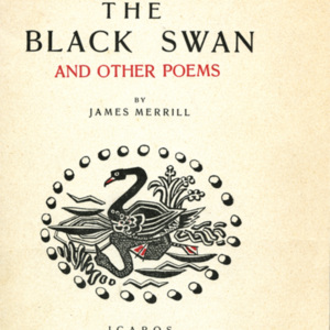 <em>The Black Swan</em>