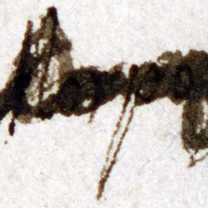 Signature of Samson ben Joshua Moses Morpurgo