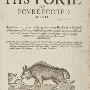 history of four-footed beasts.jpg
