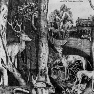 Agostino Veneziano, Animals in Forest, c. 1510.jpg