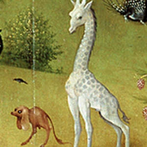 Bosch's giraffe