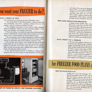 freez-goodhk-194909-001.jpg